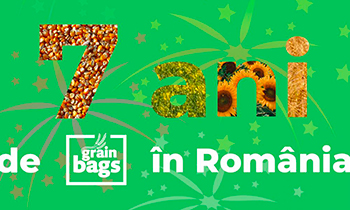 7 ani grain bags