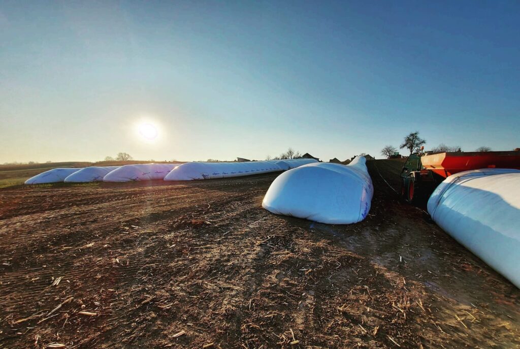 saci de silobag pe camp